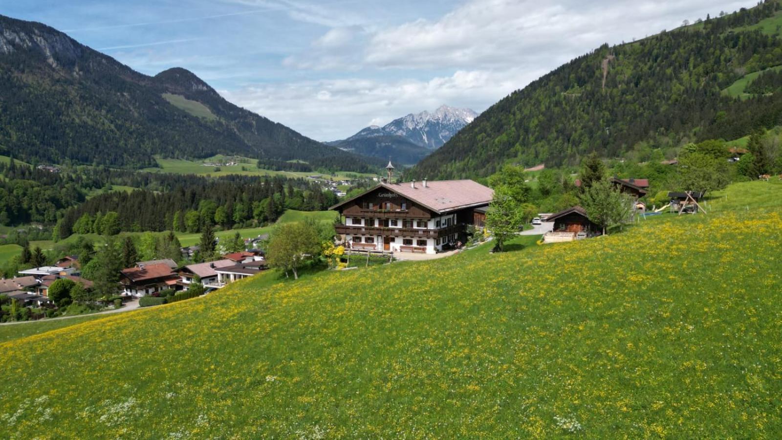 Grünholz Villa Itter Dış mekan fotoğraf