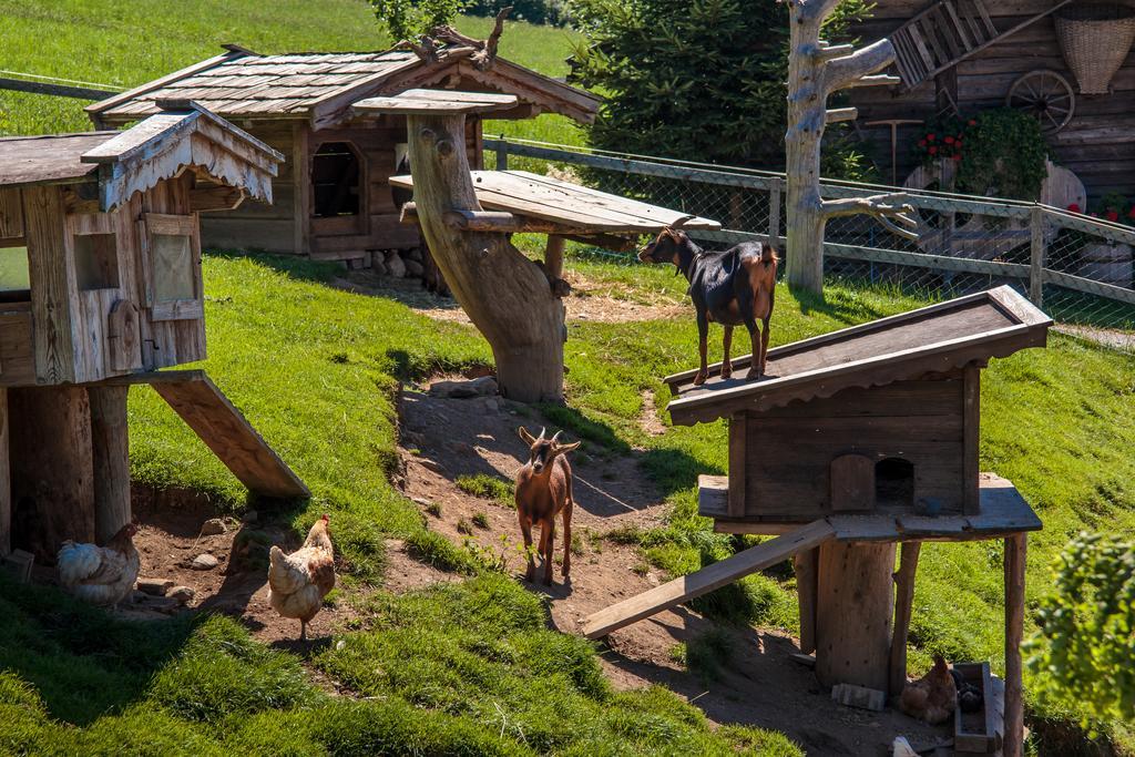 Grünholz Villa Itter Dış mekan fotoğraf