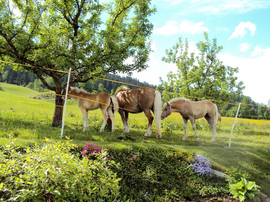 Grünholz Villa Itter Dış mekan fotoğraf