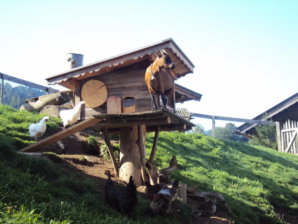 Grünholz Villa Itter Dış mekan fotoğraf